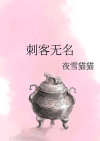 刺客无伤挂机技巧